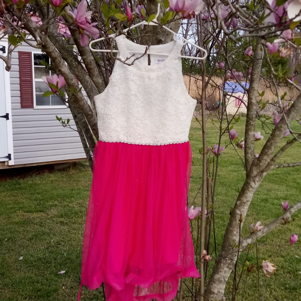 Girls Plus size Speechless Dress